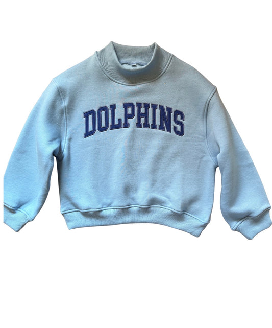 Adult Dolphins Mock Neck Sweatshirt